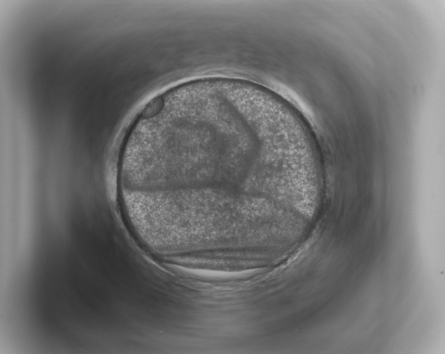 X0000101091504200807240957