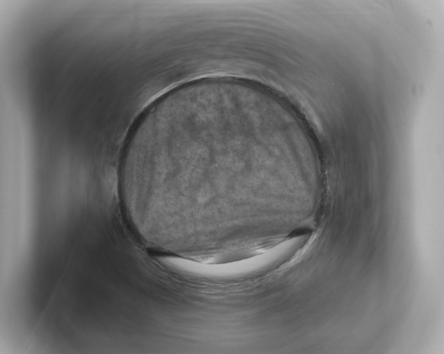 X0000101091505200807240957