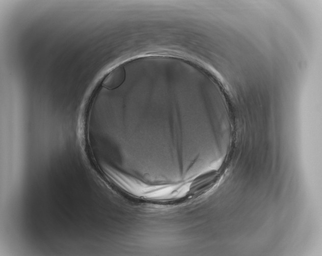 X0000101091506200807240957