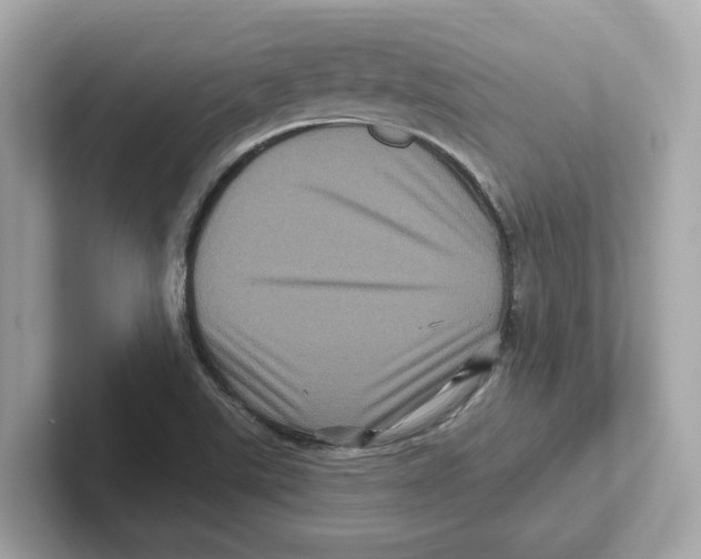 X0000101091507200807240957