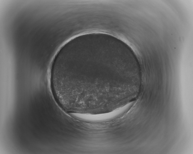 X0000101091508200807240957