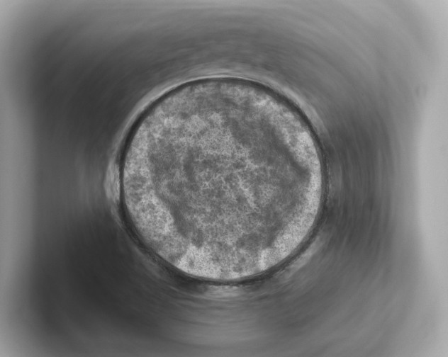 X0000101091509200807240957