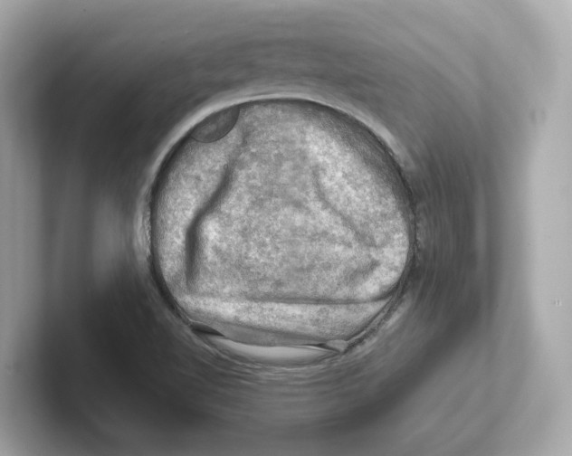 X0000101091510200807240957