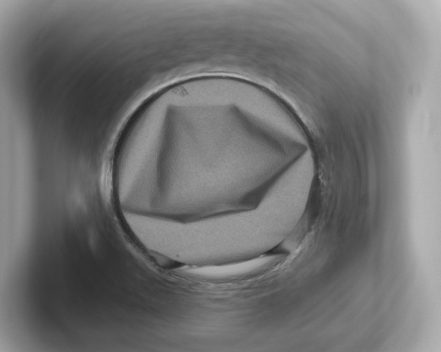 X0000101091511200807240957