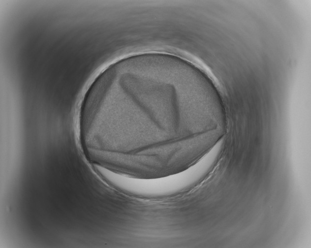 X0000101091512200807240957