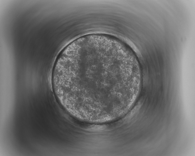 X0000101091513200807240957