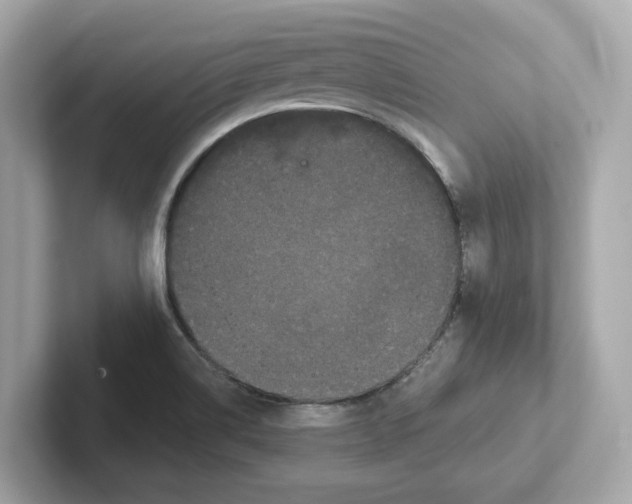 X0000101091514200807240957