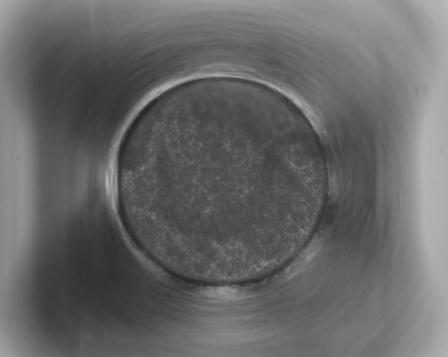 X0000101091515200807240957