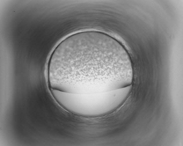 X0000101091516200807240957