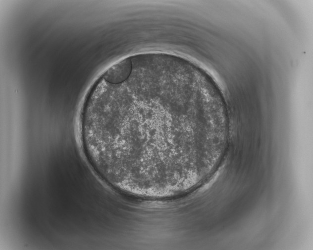 X0000101091517200807240957