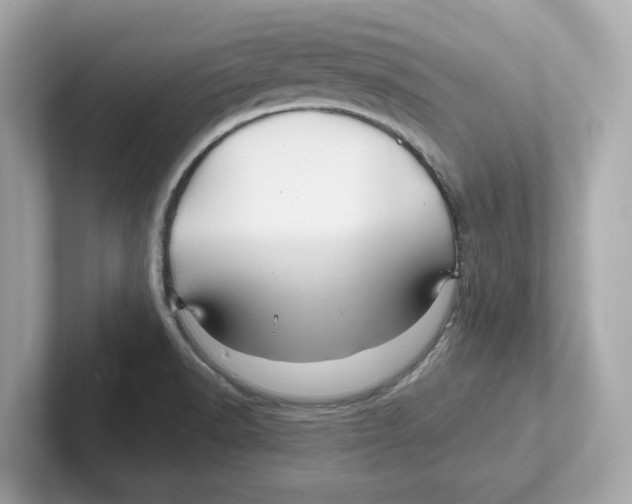 X0000101091518200807240957