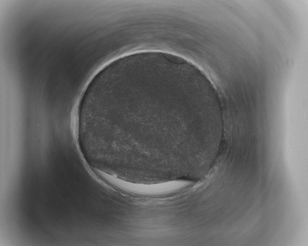 X0000101091519200807240957