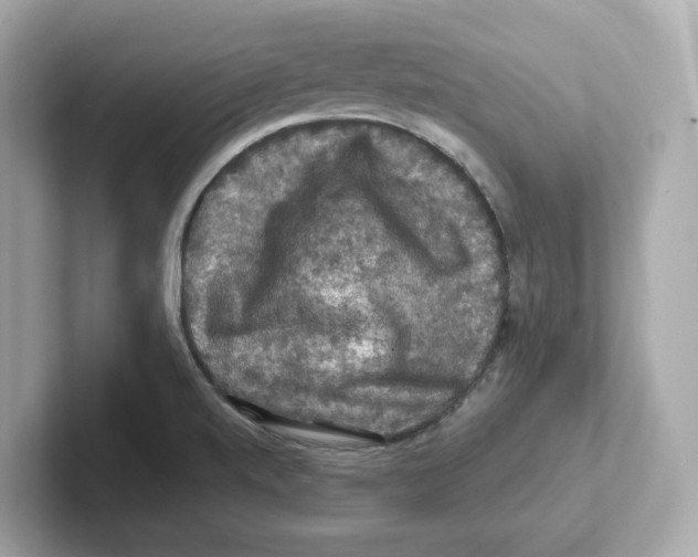 X0000101091520200807240957