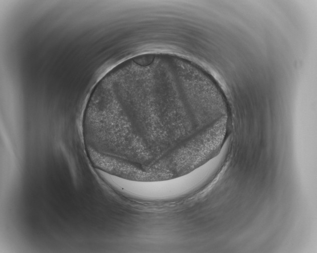 X0000101091521200807240957