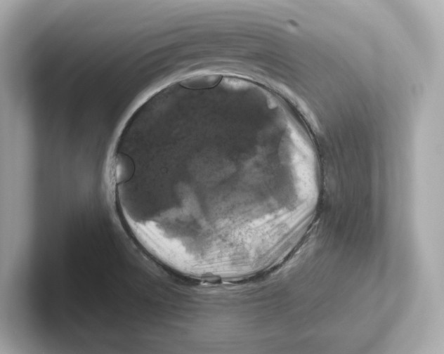 X0000101091522200807240957