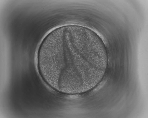 X0000101091523200807240957