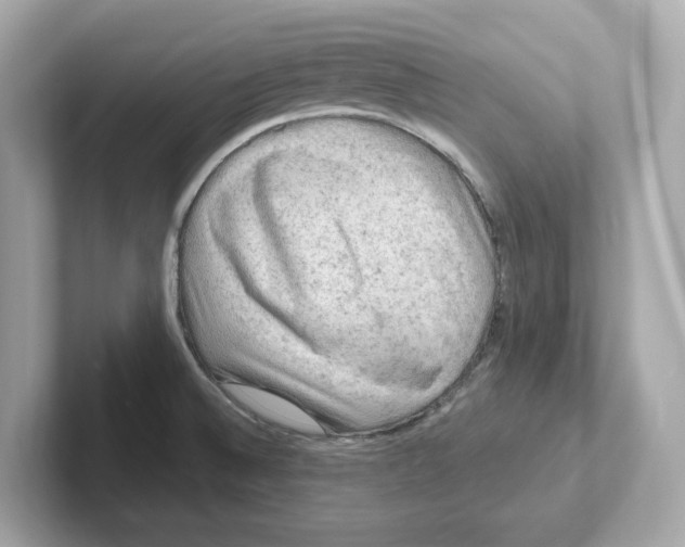 X0000101091524200807240957