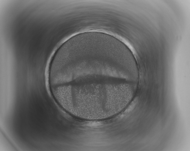 X0000101091525200807240957