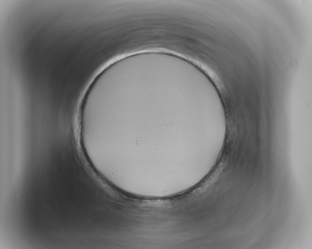 X0000101091526200807240957