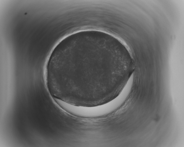 X0000101091527200807240957