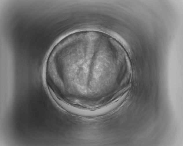 X0000101091528200807240957