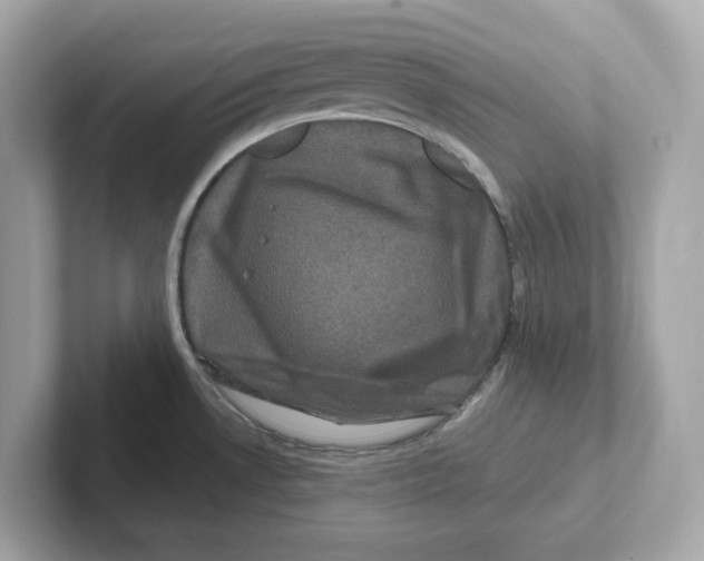 X0000101091530200807240957