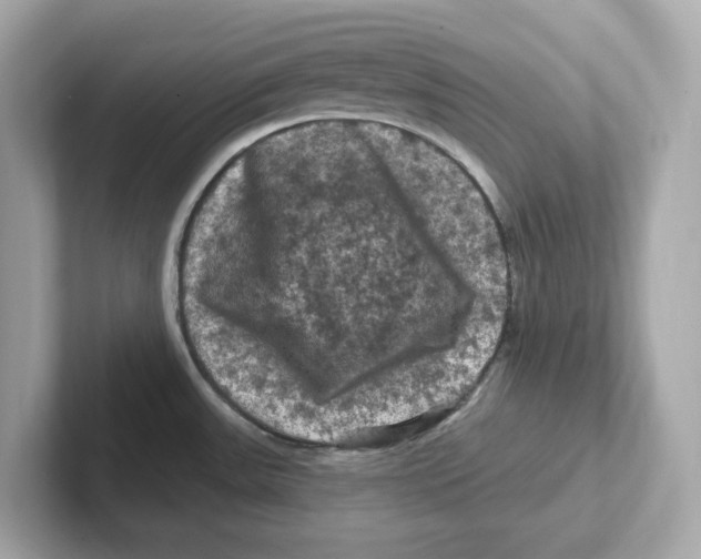 X0000101091531200807240957