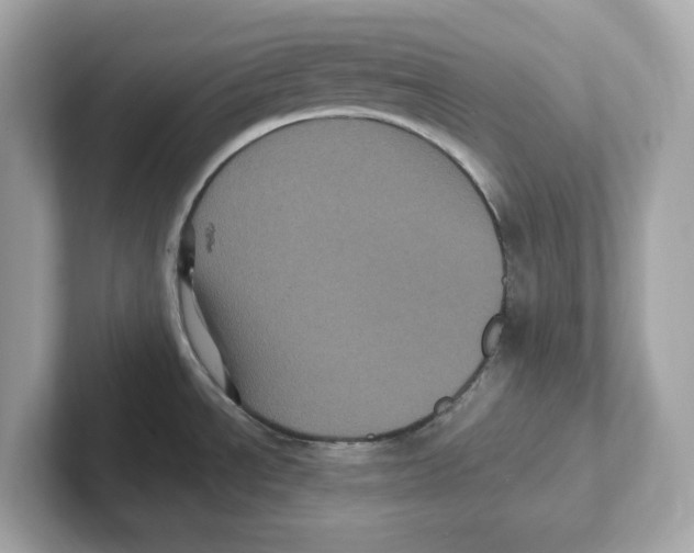 X0000101091534200807240957