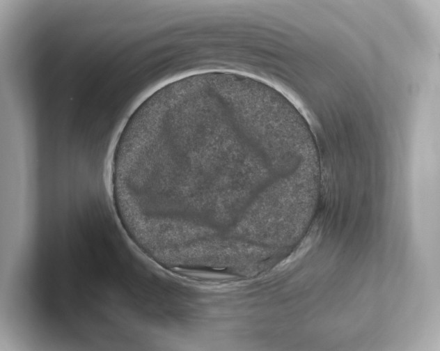 X0000101091535200807240957