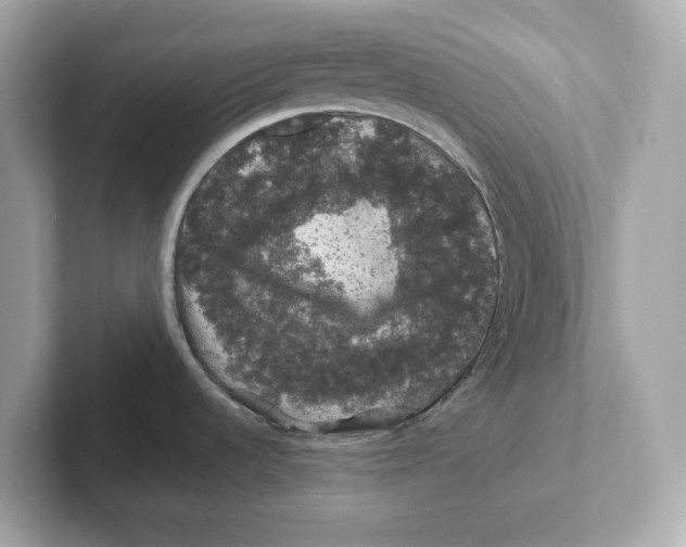 X0000101091536200807240957