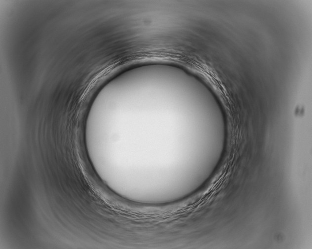 X0000101100001200806261056