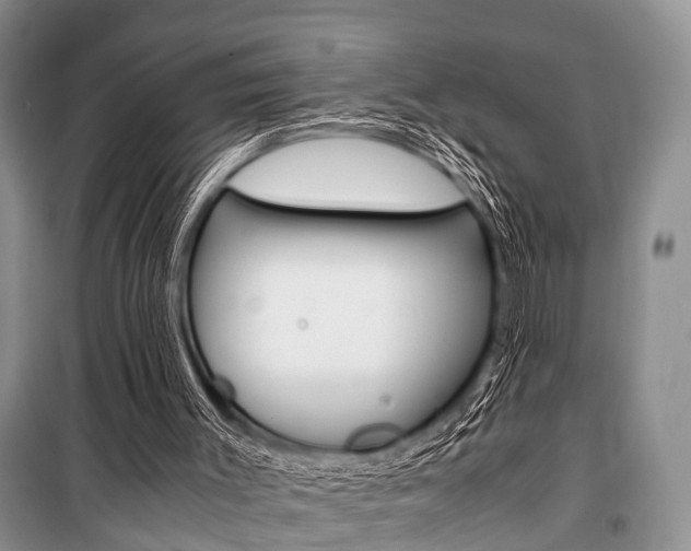 X0000101100003200806261056