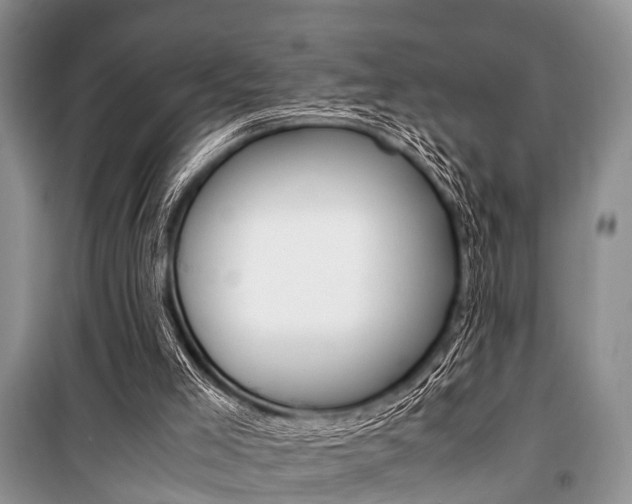 X0000101100005200806261056