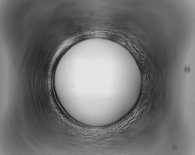 X0000101100006200806261056