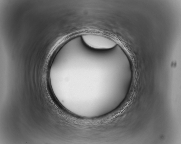 X0000101100007200806261056