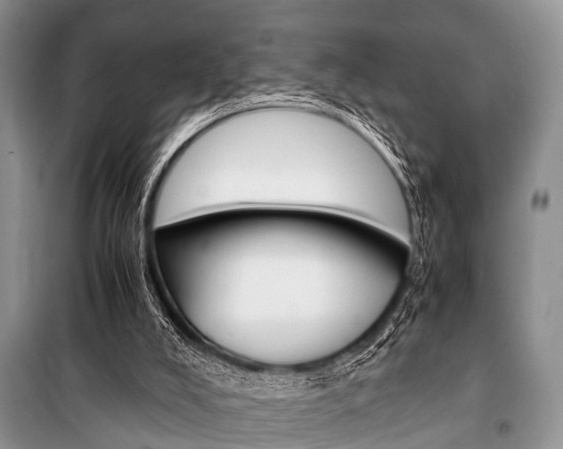 X0000101100008200806261056