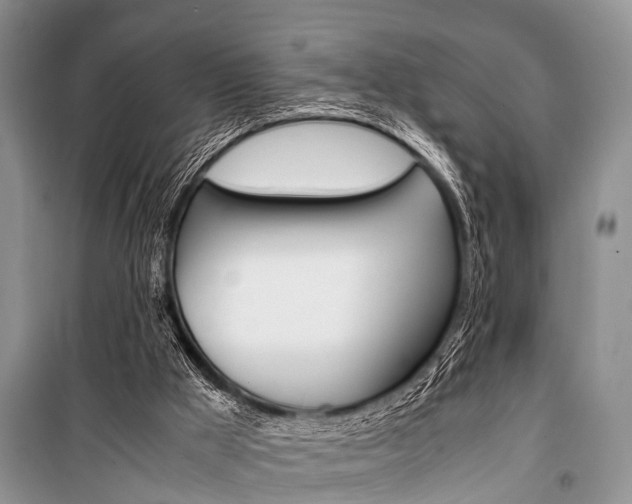 X0000101100009200806261056