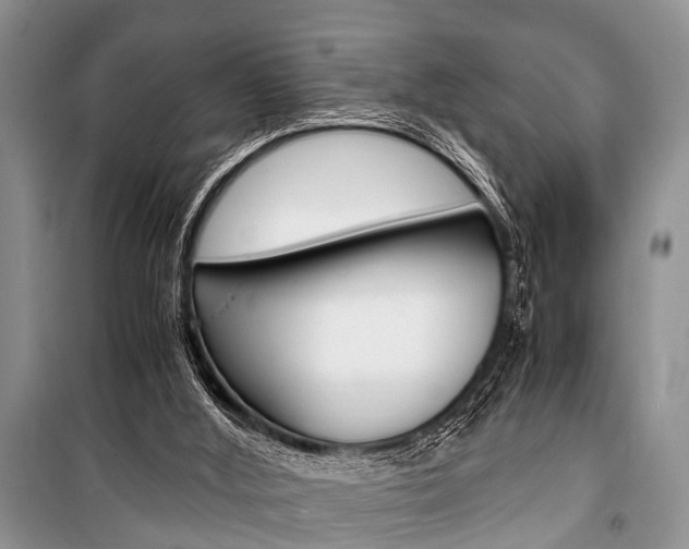 X0000101100012200806261056