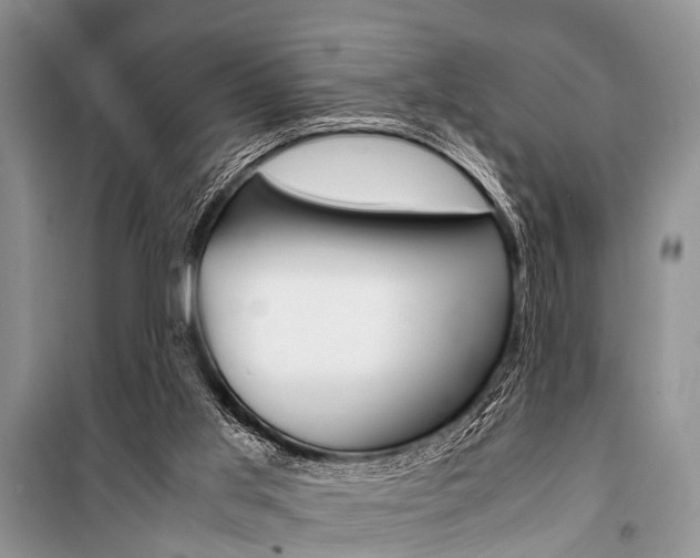 X0000101100013200806261056