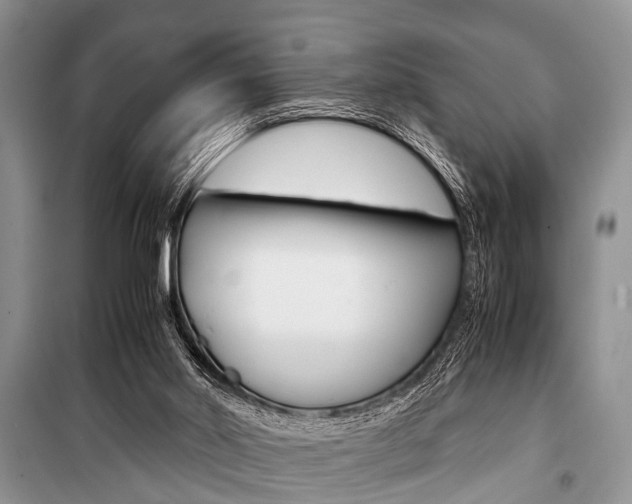 X0000101100014200806261056