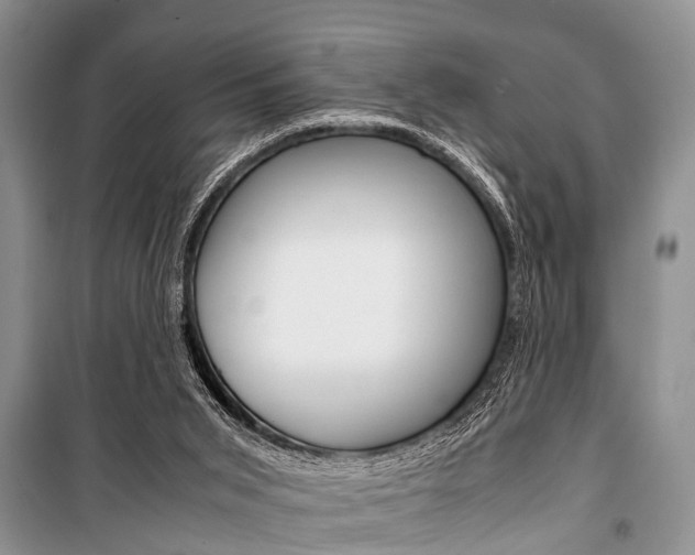X0000101100015200806261056