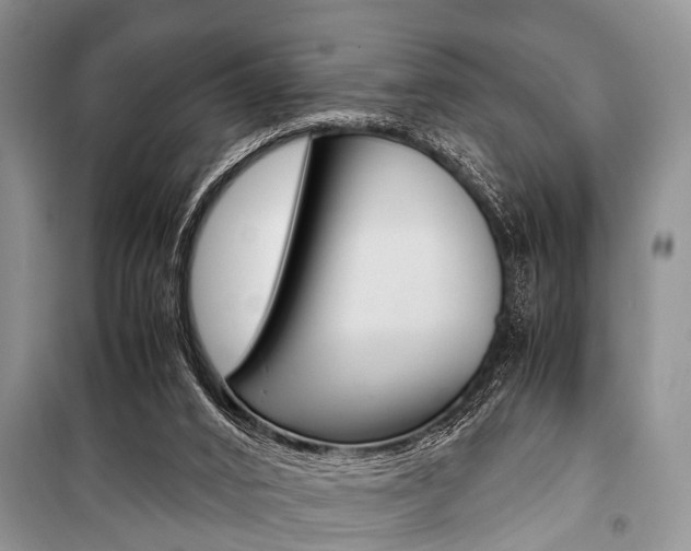 X0000101100016200806261056