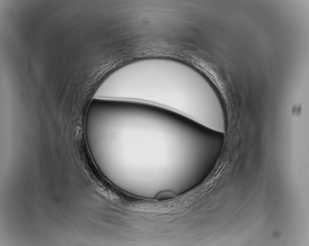 X0000101100017200806261056