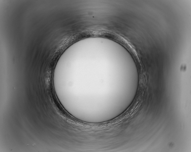 X0000101100018200806261056