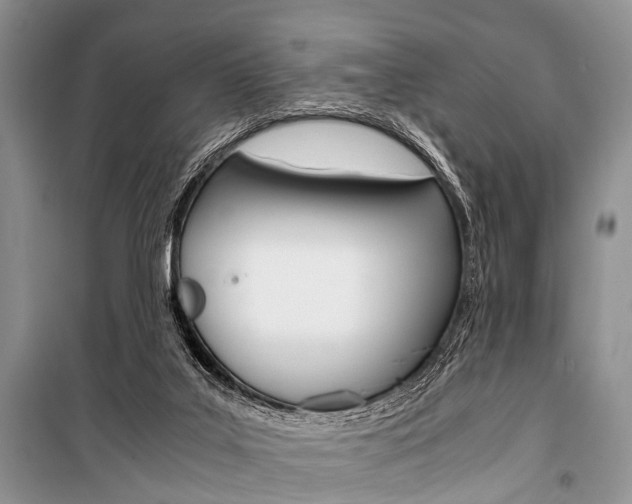 X0000101100019200806261056