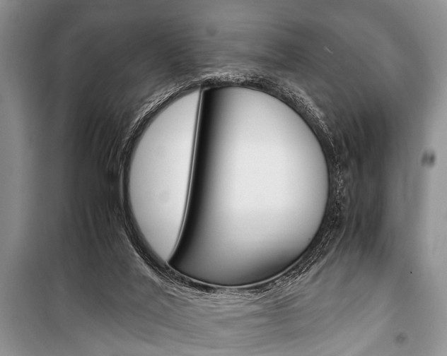 X0000101100020200806261055