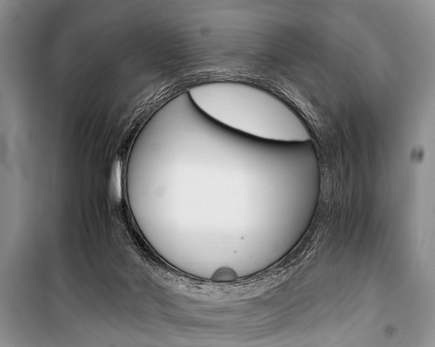 X0000101100022200806261055