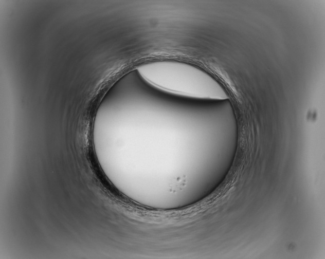 X0000101100023200806261055