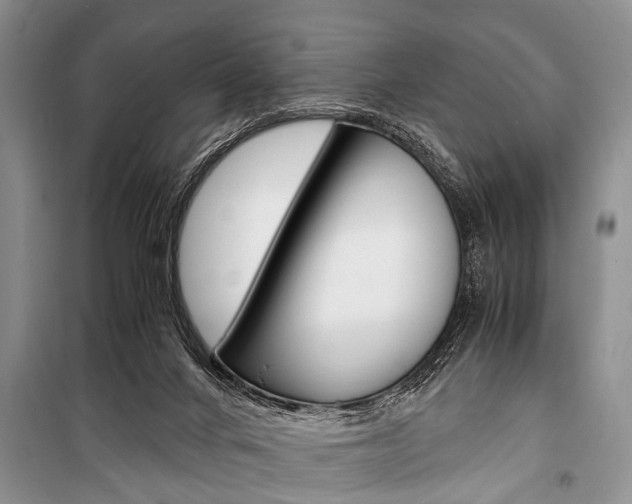 X0000101100024200806261055