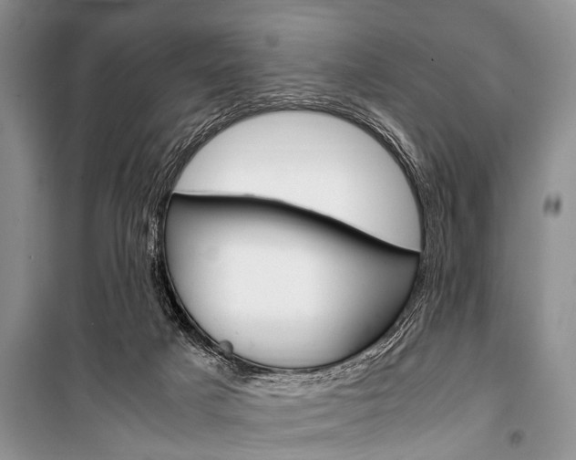 X0000101100025200806261055
